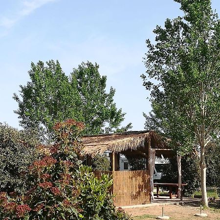 Bnatural Glamping Naturista/Nudista Baratti Exteriör bild