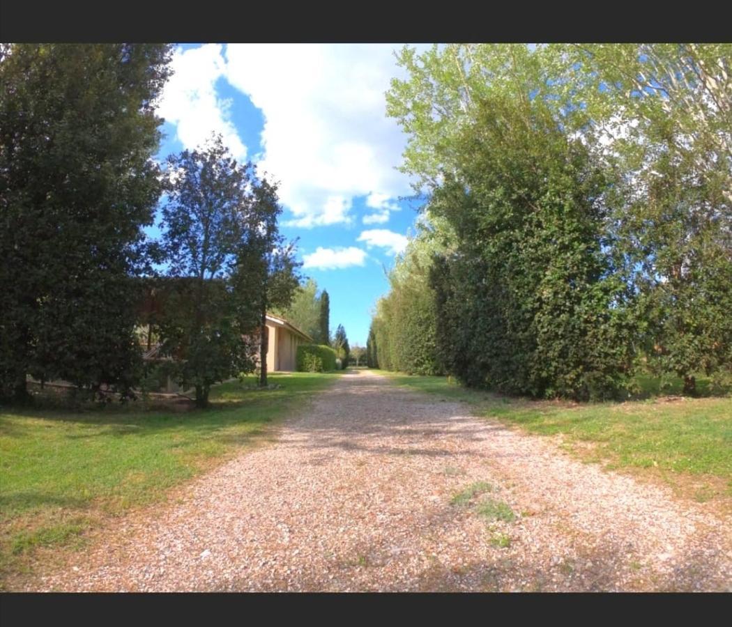 Bnatural Glamping Naturista/Nudista Baratti Exteriör bild