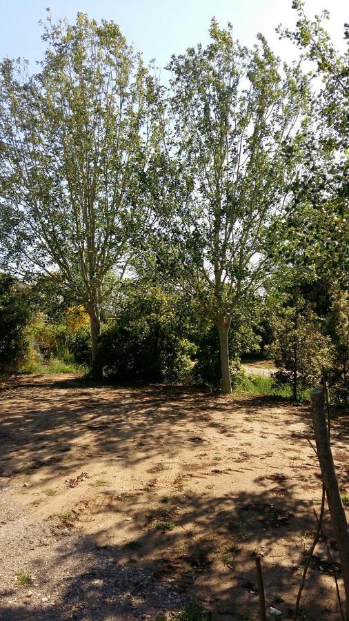 Bnatural Glamping Naturista/Nudista Baratti Exteriör bild