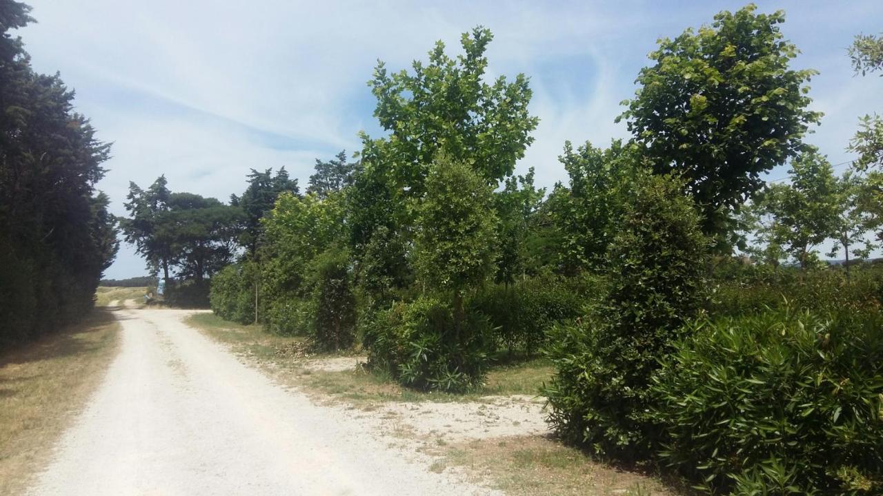 Bnatural Glamping Naturista/Nudista Baratti Exteriör bild