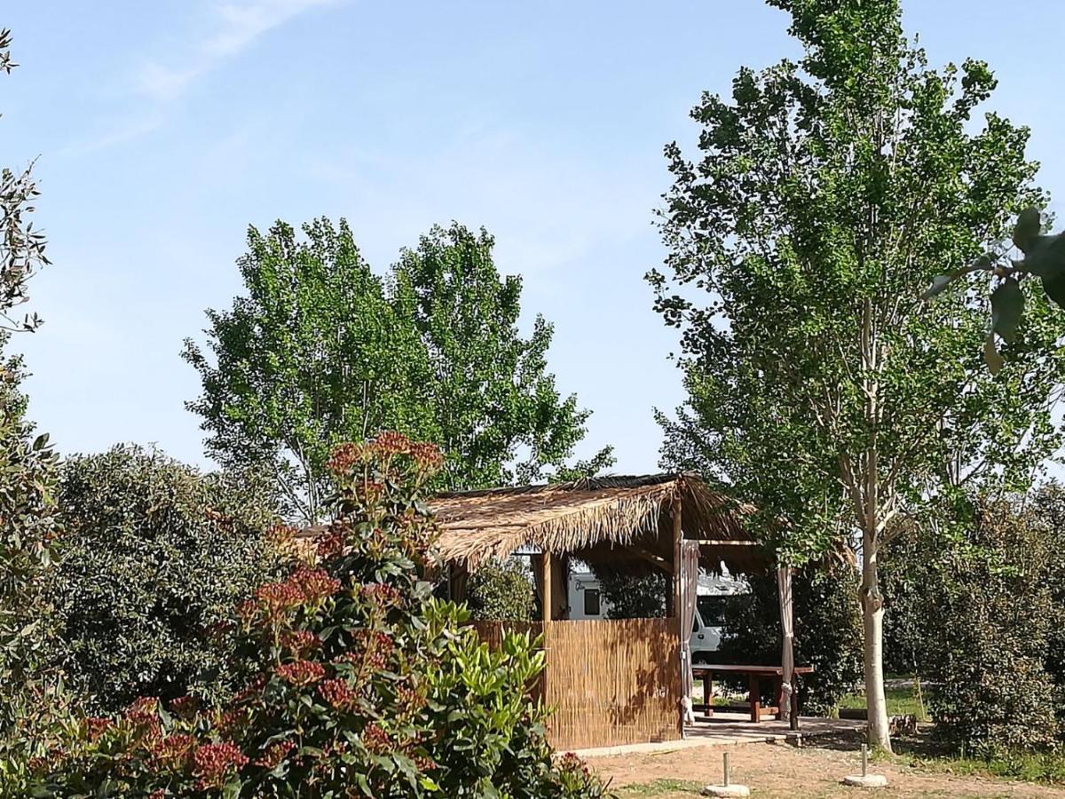 Bnatural Glamping Naturista/Nudista Baratti Exteriör bild