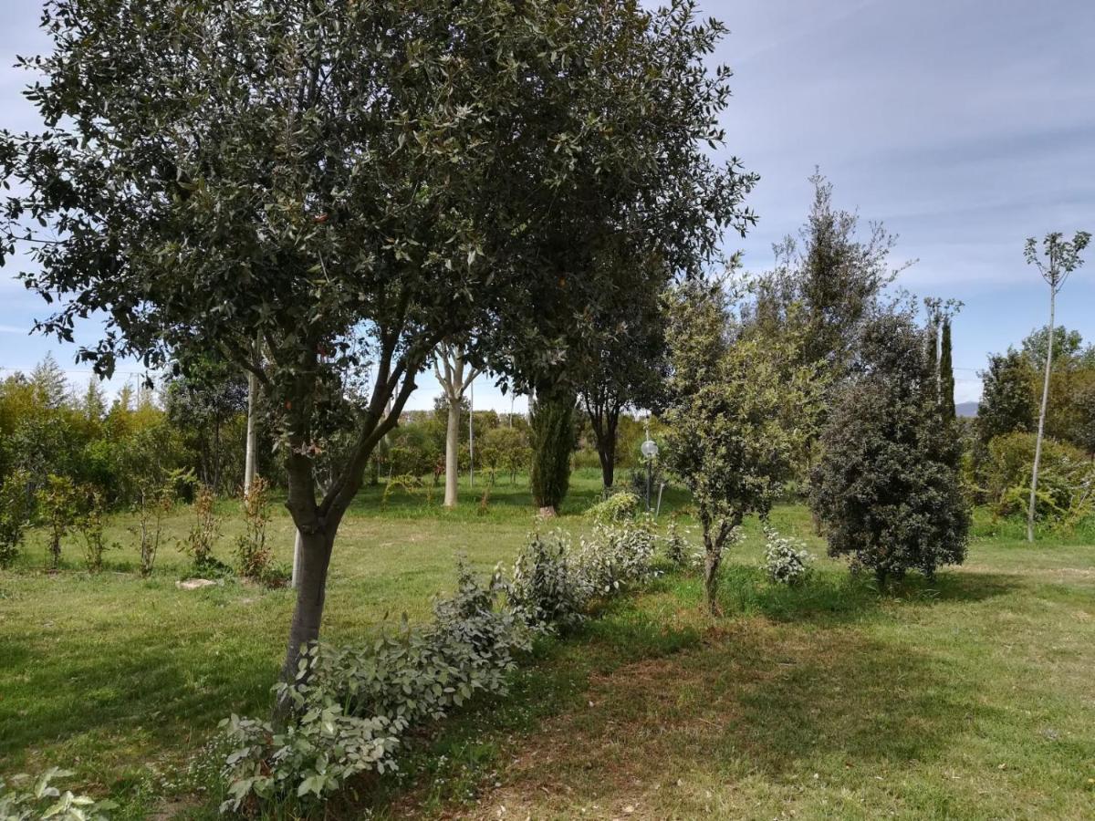 Bnatural Glamping Naturista/Nudista Baratti Exteriör bild