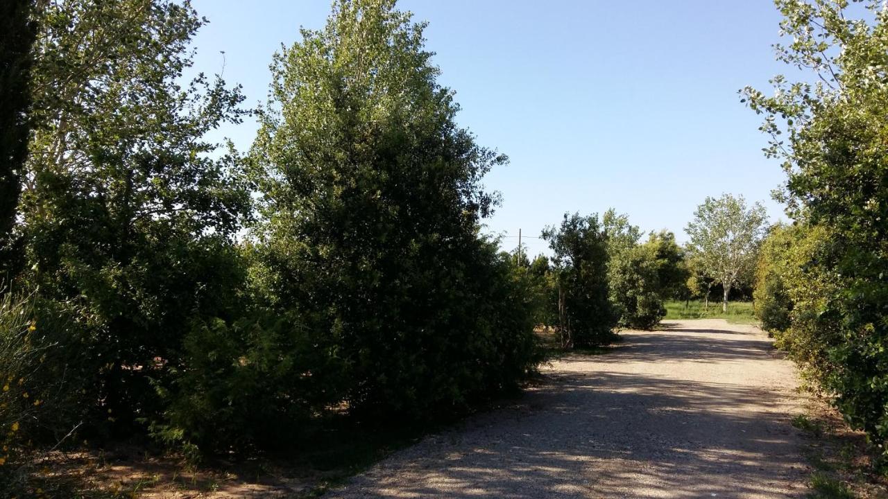 Bnatural Glamping Naturista/Nudista Baratti Exteriör bild