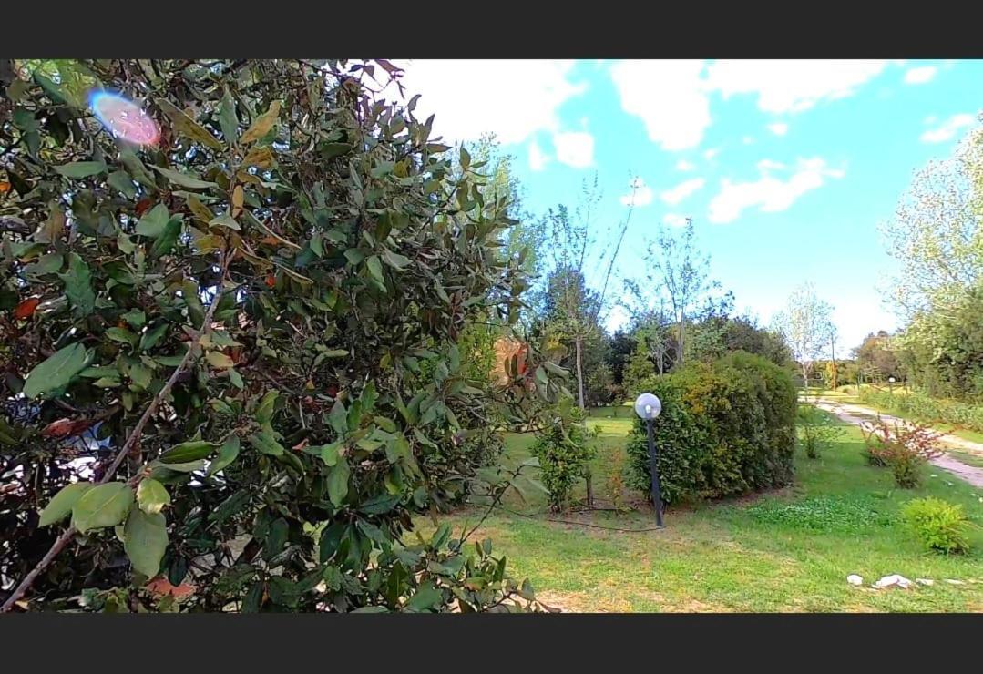 Bnatural Glamping Naturista/Nudista Baratti Exteriör bild