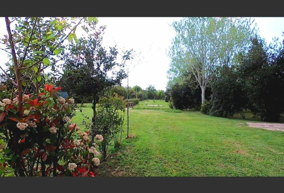 Bnatural Glamping Naturista/Nudista Baratti Exteriör bild