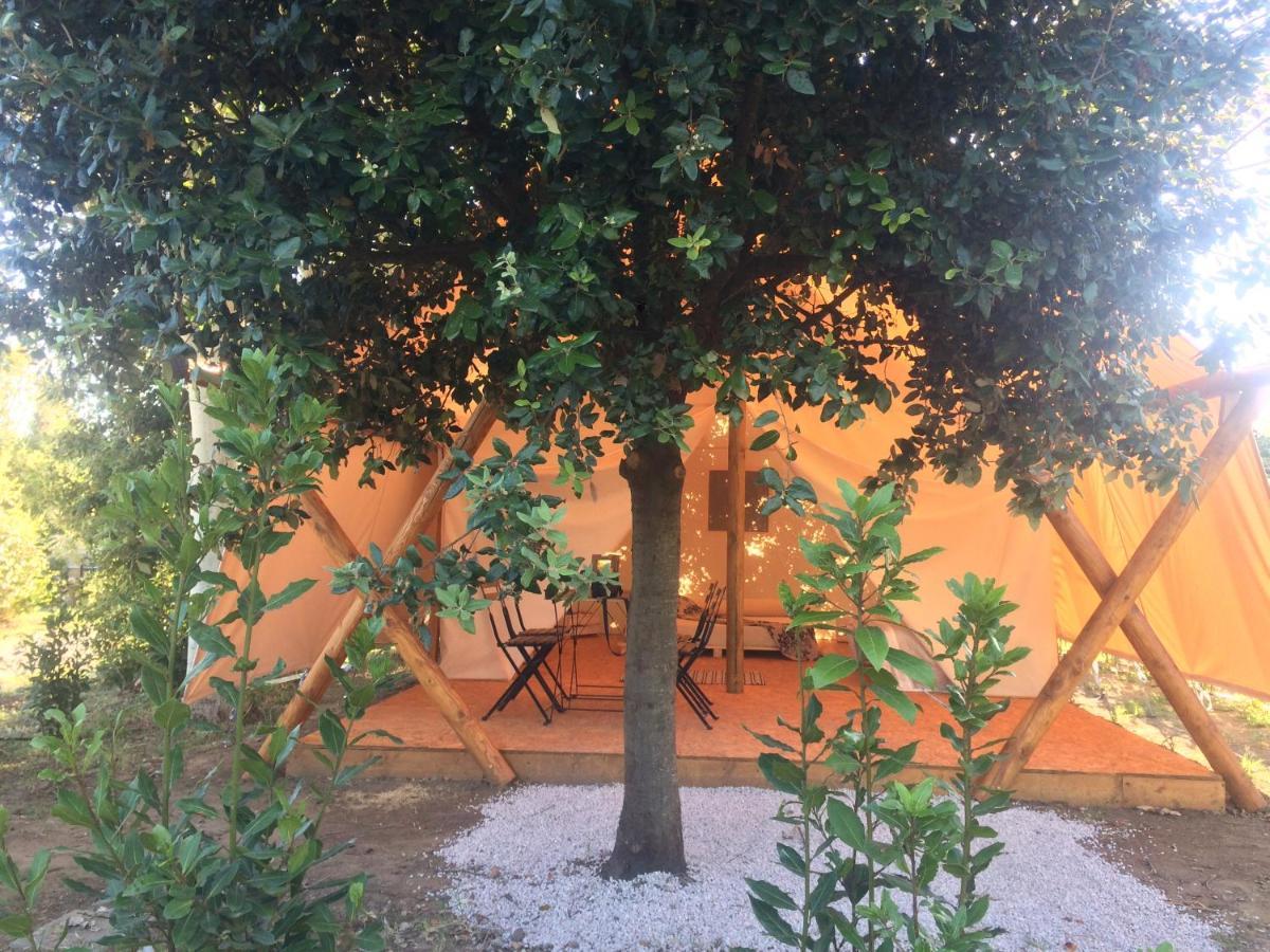 Bnatural Glamping Naturista/Nudista Baratti Exteriör bild