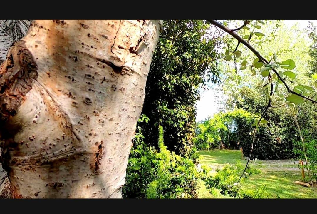 Bnatural Glamping Naturista/Nudista Baratti Exteriör bild