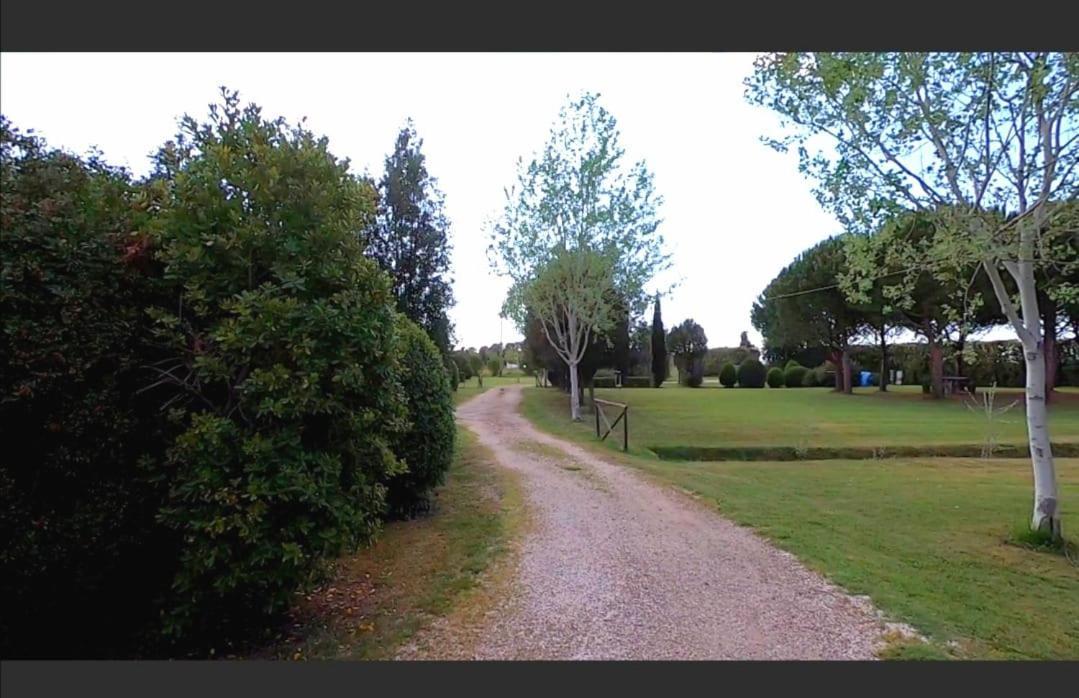 Bnatural Glamping Naturista/Nudista Baratti Exteriör bild