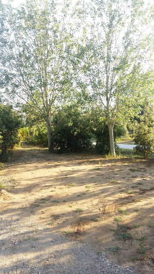 Bnatural Glamping Naturista/Nudista Baratti Exteriör bild