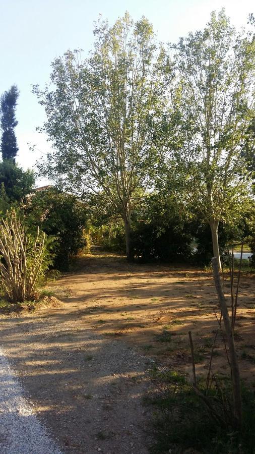 Bnatural Glamping Naturista/Nudista Baratti Exteriör bild