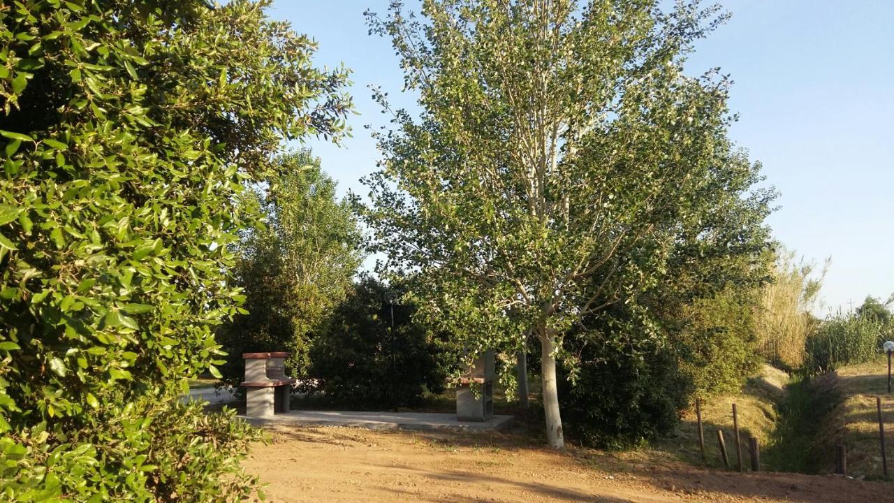 Bnatural Glamping Naturista/Nudista Baratti Exteriör bild